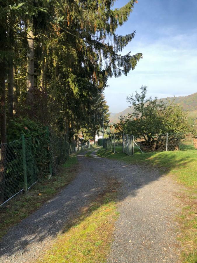 In Appartement Rheinbrohl